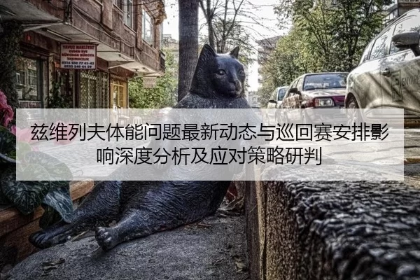 兹维列夫体能问题最新动态与巡回赛安排影响深度分析及应对策略研判